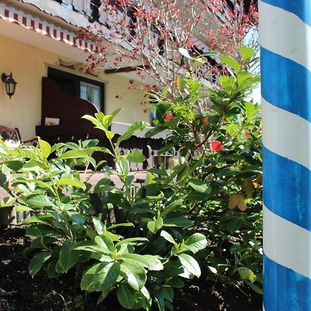 Birkenhof Pension Mit Herz Pfronten Buitenkant foto