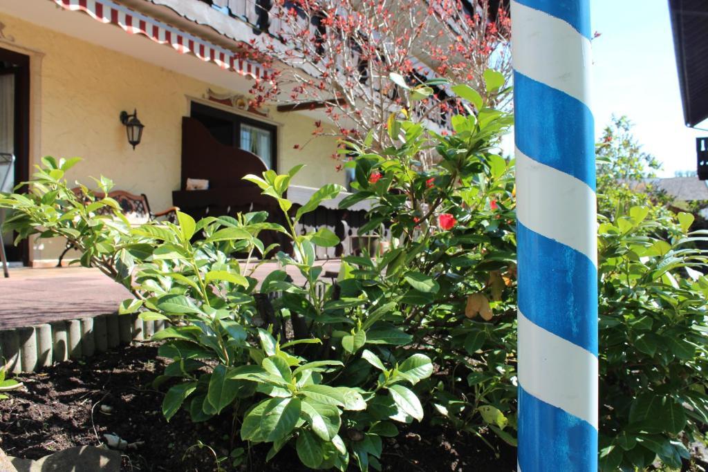 Birkenhof Pension Mit Herz Pfronten Buitenkant foto